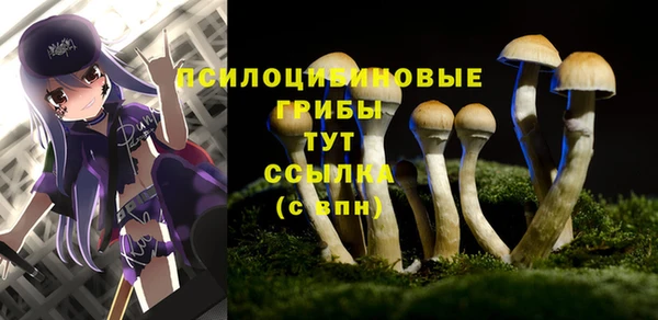 Альфа ПВП Абдулино