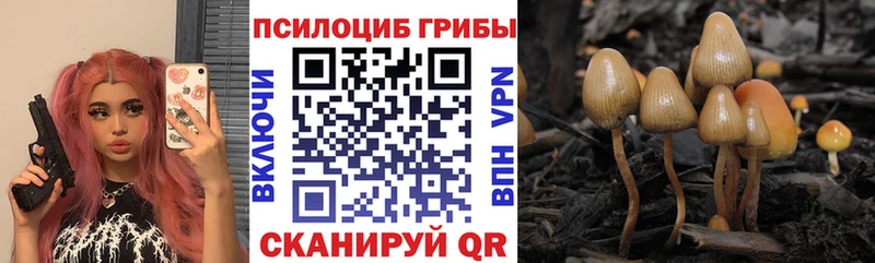 Псилоцибиновые грибы MAGIC MUSHROOMS  наркота  Агидель 